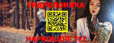 индика Протвино
