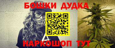 индика Протвино