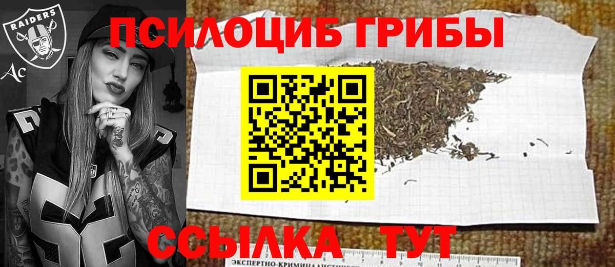 Псилоцибиновые грибы Psilocybine cubensis  Псилоцибиновые грибы GOLDEN TEACHER  где продают   Вход с VPN  Михайловка 