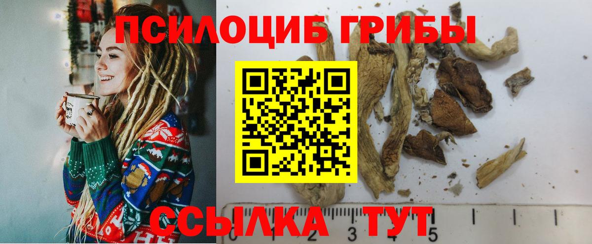 Галлюциногенные грибы Magic Shrooms Михайловка